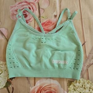 Gymshark mint sports bra